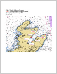 2008 Zaikof Bay Cleanup Chart