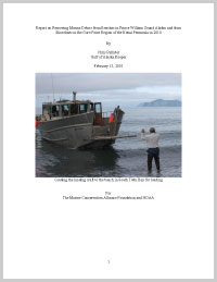 2010 Final Report